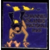 CHANNEL ISLANDS NATIONAL PARK PIN